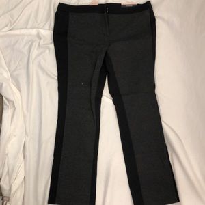 NWT Ann Taylor: Black & gray straight legged pants